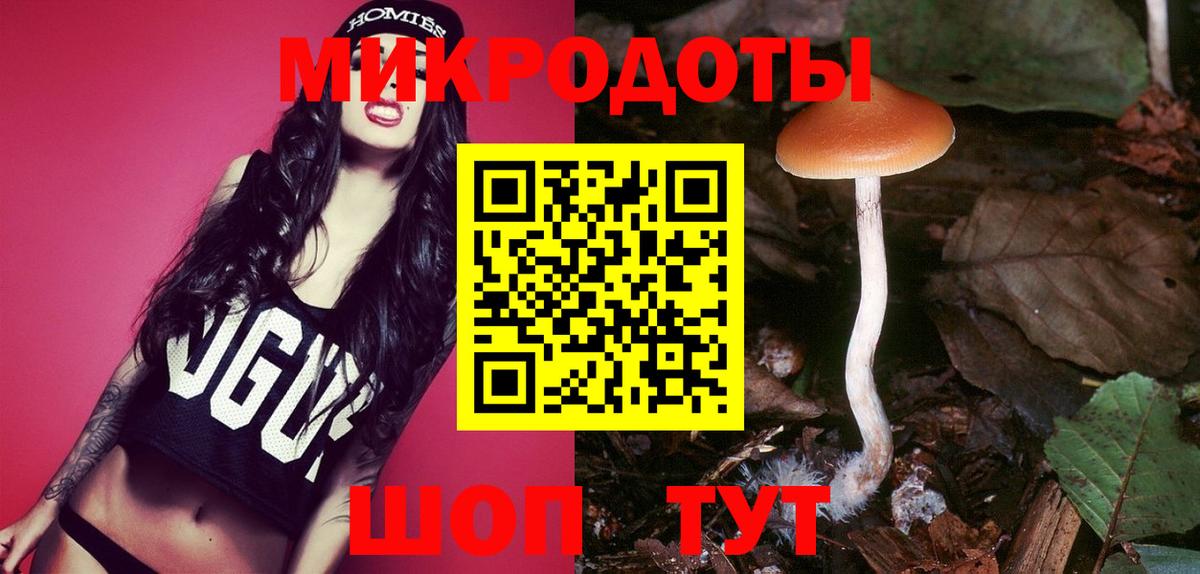 Псилоцибиновые грибы Psilocybine cubensis  Вход с VPN  Лосино-Петровский 
